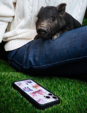 Little Piggies iPhone Case
